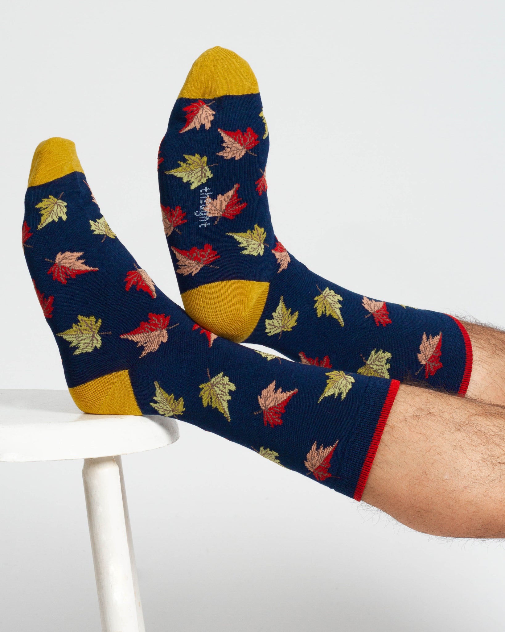 Coffret de chaussettes forêt pour homme en bambou