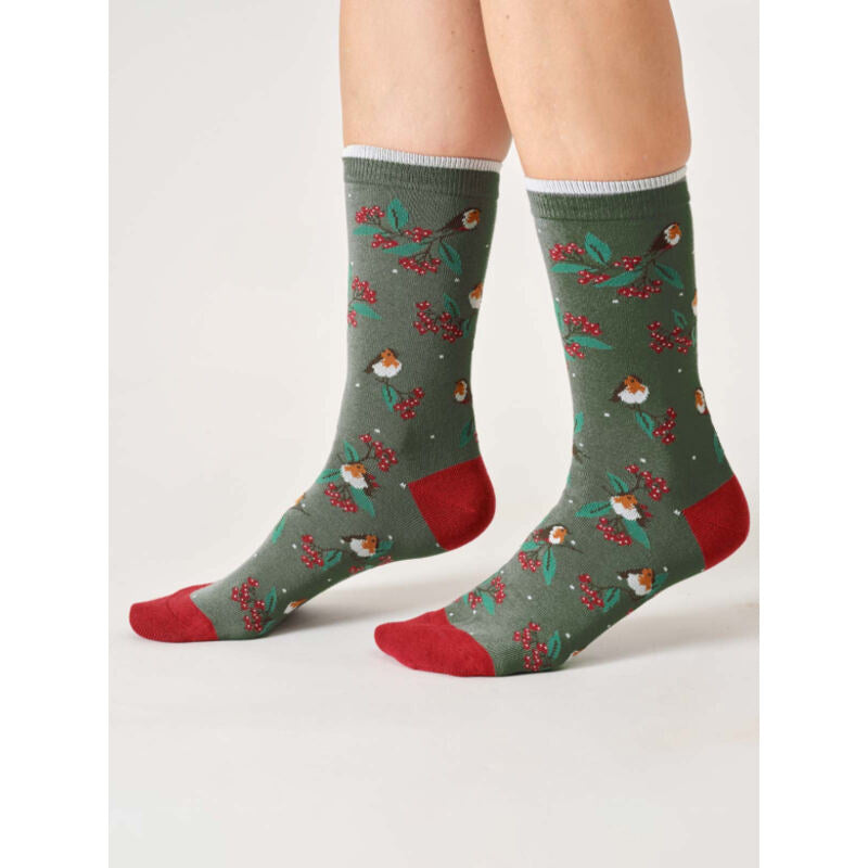 Boite cadeau chaussettes rouge-gorge de Noël en coton bio