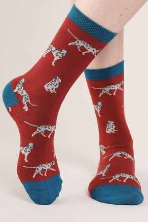 Chaussettes dalmatiens pour homme en bambou