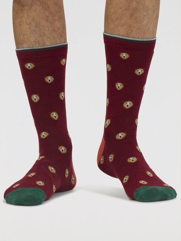 Chaussettes Ours en coton bio homme