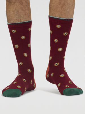 Chaussettes Ours en coton bio homme