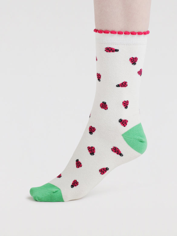 Coffret chaussettes insectes en coton bio